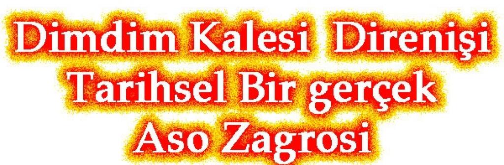 Dimdim Kalesi Direnişi Tarihsel Bir gerçek