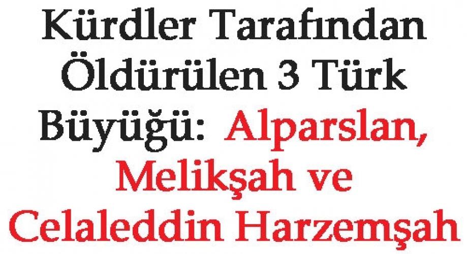 MELİKŞAH, ALPARSLAN VE CELALEDDİN HARZEMŞAH KÜRDLER TARFINDAN ÖLDÜRÜLDÜLER!!!!!