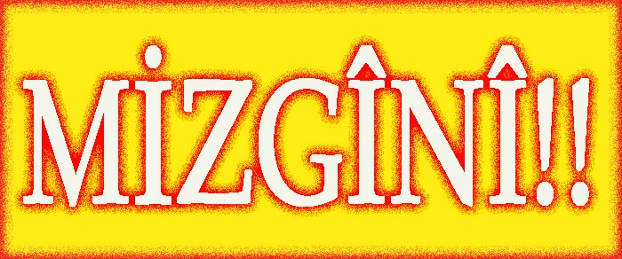 MİZGÎNÎ!!!!!