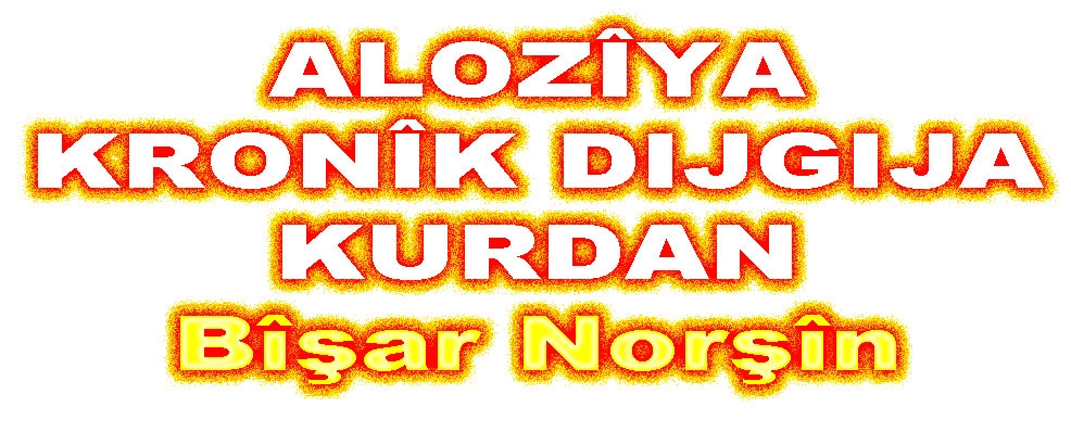 ALOZÎYA KRONÎK DIJGIJA KURDAN/BÎŞAR NORŞÎN