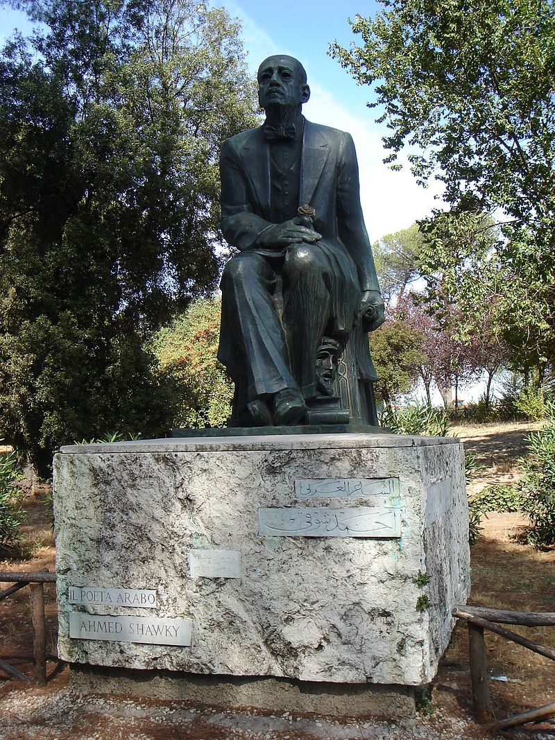 ahmedshawki